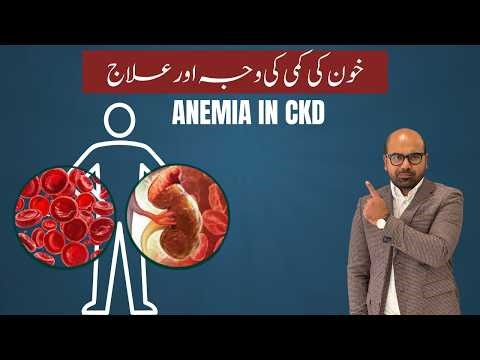 Why do kidney patients have anemia? | Episode 306