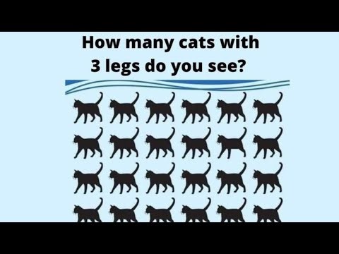 Only 2% can find the total number of 3 legged cats⁉️🔥 Eyesight test! 🤔 | #live | #Myhobbyway |