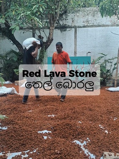 Red Lava Stones for Garden Landscaping – Low Maintenance Garden Ideas