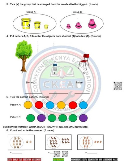 Grade 1 Mid Term 1 2026 Mathematics Activities Exam