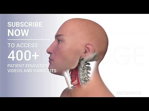 Chin Tuck - Patient Education | MedBridge