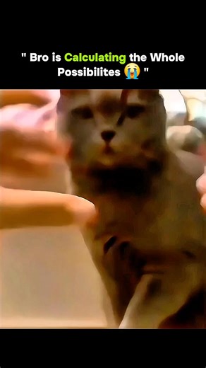 SCIENCE | FACT | KNOWLEDGE on Instagram: "probability theory in real time. The brain simulates multiple outcomes, weighs risks vs rewards, and picks the option with the highest survival or success rate. It looks dramatic, but it’s just fast decision-making powered by experience and pattern recognition. #BrainScience #ProbabilityTheory"