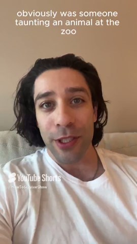 Why Taunting Zoo Animals Like Baboons Can Turn Deadly