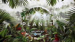 The Green Planet - Teaser | Watch online at WTTW.com