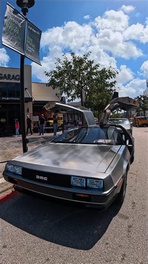 Back to the future 🚗⏳ #delorean #timemachine #classiccars #carshow #viral