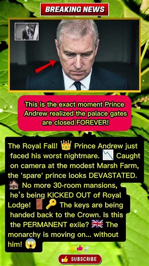PRINCE ANDREW CAUGHT! 📸 The Moment He Lost Everything! 🏚️👑#royalfamily #princewilliam