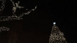 🎄 Who's ready for Holiday Light Tours? Charter the Clearwater Jolley Trolley (for as little as $15 per person) for your holiday event! Whether it's a company holiday party, church outing, friends and family, you are going to have a 'jolly' good time on the Jolley Trolley. Psssst....you can even bring our own 🍾libations🍾 and treats on board! Call us to reserve your Trolley at 727-445-1200 or visit our website to learn more... http://www.clearwaterjolleytrolley.com/special-events.html #HolidayL