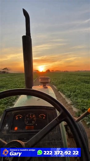 Adquiere un tractor usado con el 20 % de enganche y pagos anuales #frasesdeagricultor #AgricultoresMexicanos #implementosagricolas #Comunidadagricola #newholland #tractorchallenge #agriculture #AgriculturaSostenible #tractores #negocios | Supera Préstamos