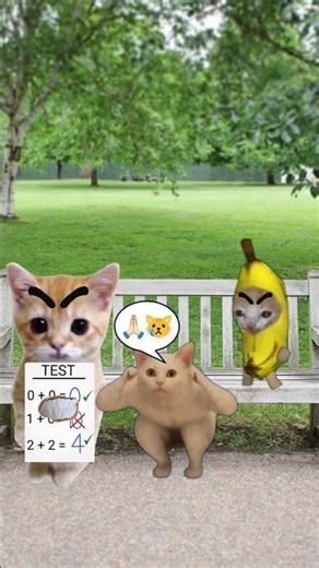 Magnifying Glass Maths Test Paper Burn 🐱❤️ #catmemes #cat #shorts #fyp #bananacat
