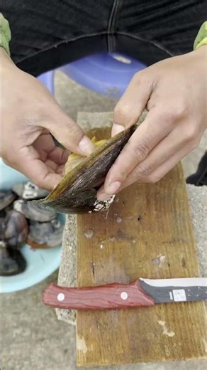 Challenge: Opening Giant Clam Shells! Dare to Try?