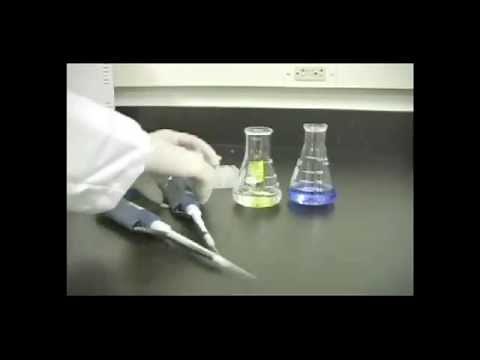 Casting Gradient Gels for the PROTEAN® II XL Cell