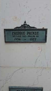 Freddie Prinze #hollywood