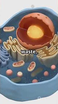 “The Vaults of the Cell: A Deep Dive into Vacuoles”