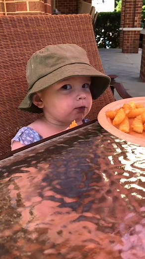 pool day! 🐝 | Jax Henry