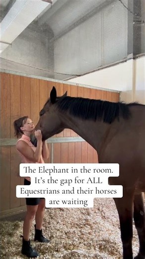 Horse riders. Read the description #thehorselistener #healyourhorse