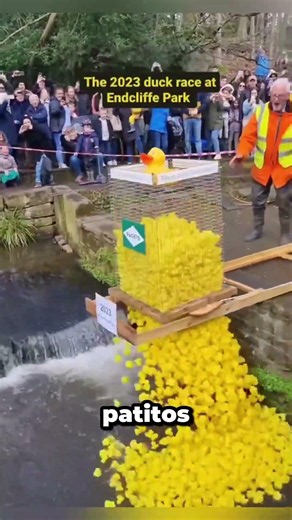 La Carrera de Patitos Más Increíble de Europa 🦆 #shorts
