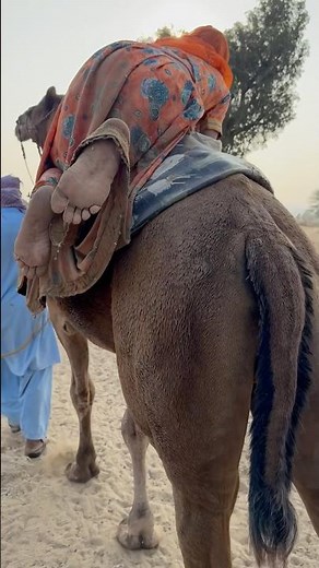 الفتاة تركب الجمل بطريقة مدهشة في قلب الصحراء