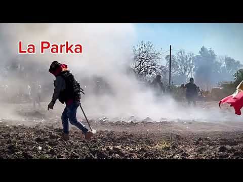 Carnaval de San Juan De la Vega 2025 primera parte.