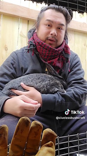 Raising Rabbits: Tips for Breeding Success