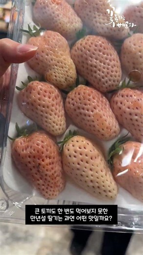 🐰 짧은영상 🐰 9살 토끼를 위한 썸씽 스페샬을 찾아보자~🐰🍓 #shorts
