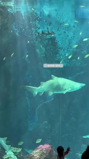 seong min (@seong.min6)’s videos with original sound - seong min