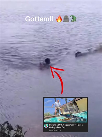 Funny prank 😂😂 #prank #alligator #pool #fyp #hellyeah | funny pranks