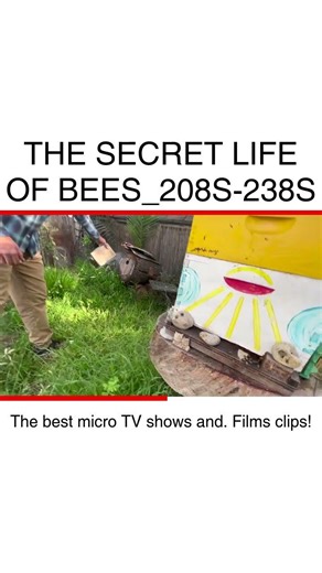 Unveiling the Secret Life of Bees You Won't Believe What They Do! #BeeLife #NatureExplained