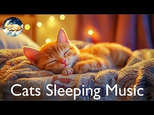 (NO ADS) Sleepy Kitten Music 🐱 3 Hours of Soft Lullabies for Cats & Humans 💤 Relaxing Sleep Sounds
