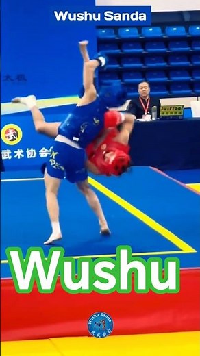 Wushu sanda