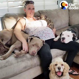 36M views · 676K reactions | These “unadoptable” pit bulls were never supposed to live with kids — but they’re about to meet their new baby brother  | The Dodo | Facebook