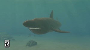 A shark for every mood. Have you taken the plunge on Endless Ocean Luminous? https://ninten.do/6182lHfv2 | Nintendo Switch