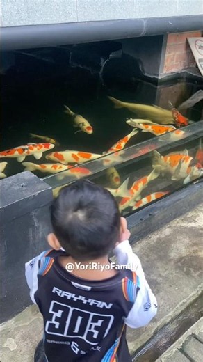 Rayyan Wants to Take a Photo with a Fish, But He's Afraid 🤣