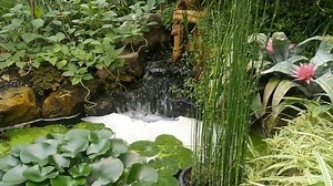 Waterfall, Stream, Cascade. Free Stock Video