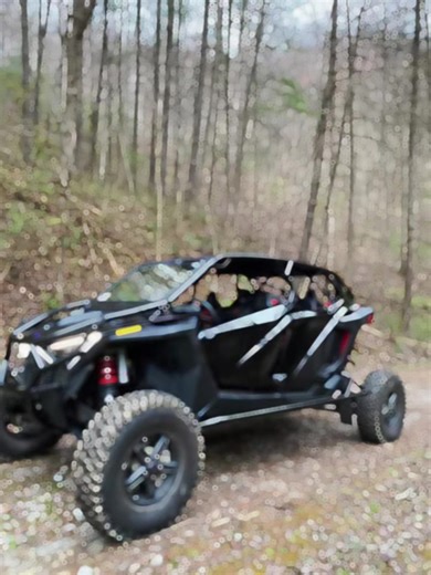 Turbo R Cage with Bumpers and Tree Kickers Explained