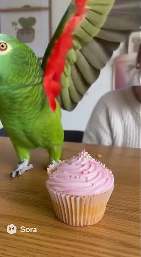 Angry Parrot Swearing at Owner | Hilarious Talking Parrot Gets Mad2025 #shorts #parrot #talkingparot