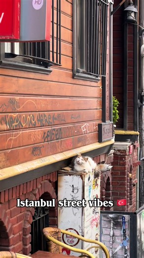 Exploring Istanbul's Street Life and Unique Details