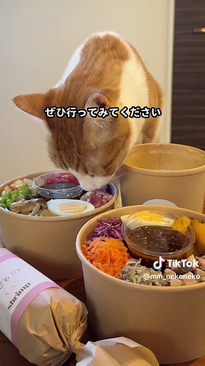 VEGE&me南熊本店のチョップドサラダとスムージー