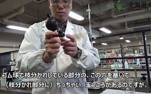 【教材】学生実験：ホールピペット操作の説明