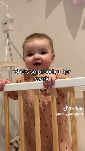 Shark Vacuum Recommendation for Fish Tank Owners