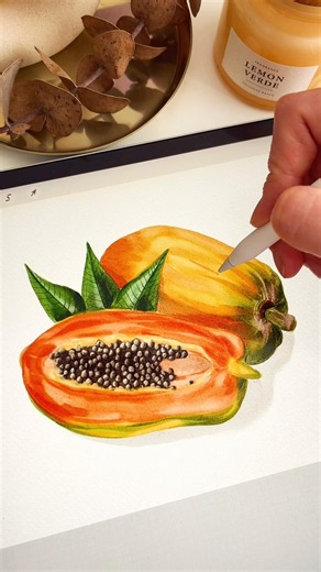 Watercolor Papaya 🧡 #procreate #watercolor