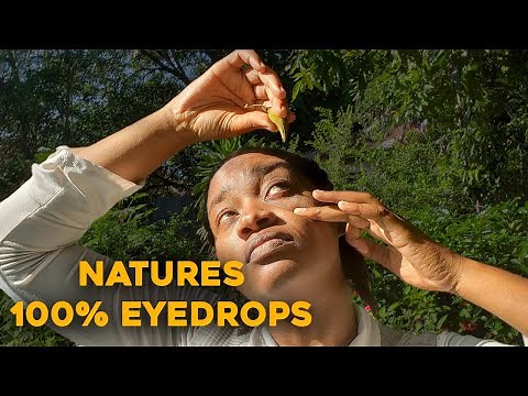DONKEY PEE PEE ! EYE DROPS FROM NATURE Spathodea Campanulata |Jamaican Donkey Pee Pee #eyedrops