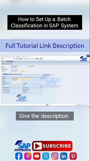 How to Set Up a Batch Classification in SAP System | SAP QM Batch Management | SAP Tutorial For Free