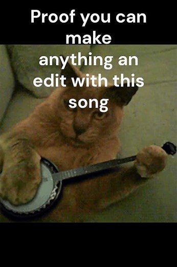 Memes From the Washing Machine 5