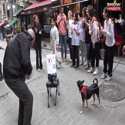 27K views · 84 reactions | Robot icat edileli böyle zulüm görmedi | Show Ana Haber | Facebook