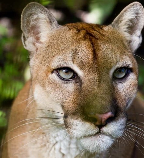 Older women dating younger men: 3 things to know