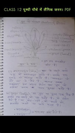 #up board #class12 ✨ पुष्पी पौधों में लैंगिक जनन #upmsp #pdf ch1 class 12 #short notes #upboard