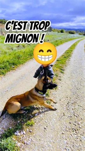 Complicité avec la miss 💪 #malinois #chien #dog #funnydogs #doglife #youtubeshorts #viral #fyp