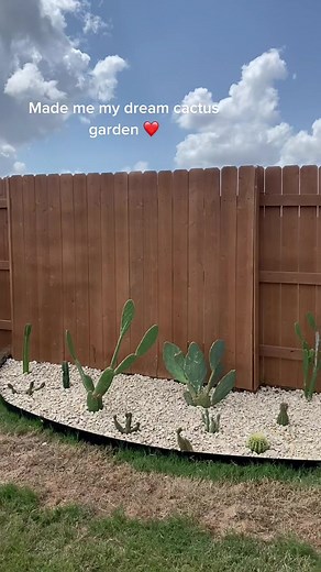 Creating a Thriving Cactus Garden: Tips for Planting and Growing Succulents