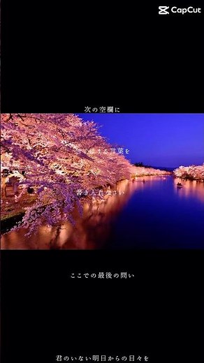正解歌詞動画 #歌詞動画