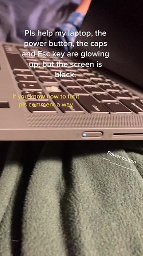 Help Needed: Laptop Has Power But No Display